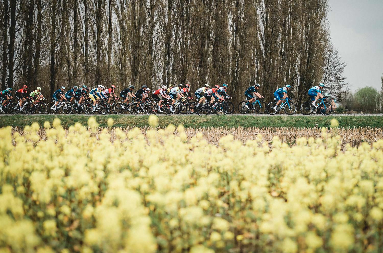 Experience Dwars door Vlaanderen as a VIP